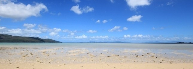 20140409-184124.jpg