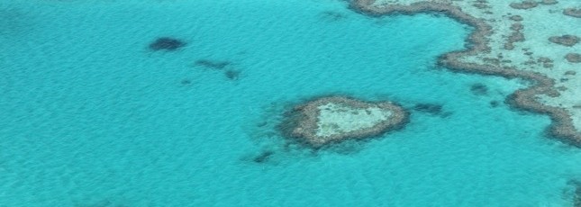 20140411-094011.jpg