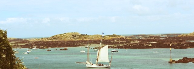 IMG_4641-Copy-1.JPG
